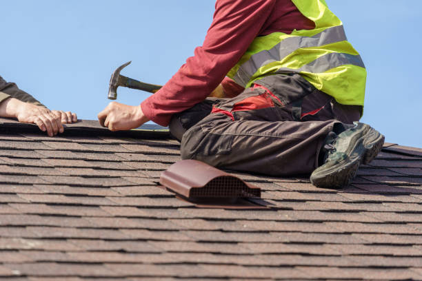 Best Roof Maintenance Services  in Glespie, IL