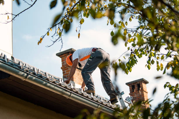 Best Commercial Roofing Services  in Glespie, IL