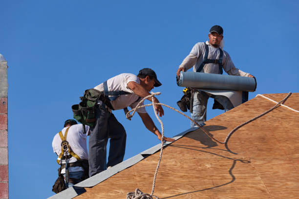 Best Roof Gutter Cleaning  in Glespie, IL