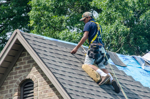 Professional Roofing Contractor in Gillespie, IL